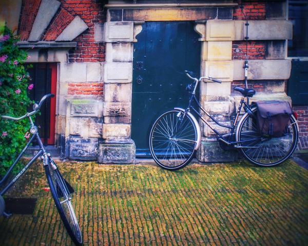 Bikes & Bricks (h) picture