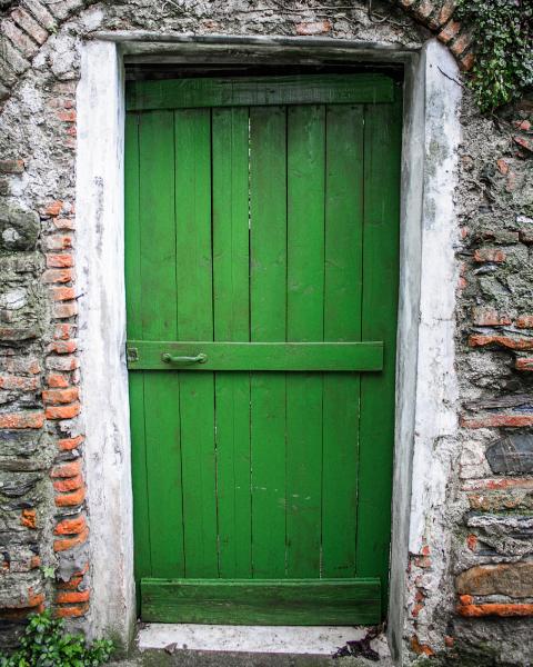 Doors of Italy- Green picture