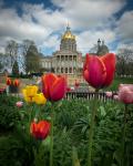 Springtime at the Iowa Capitol