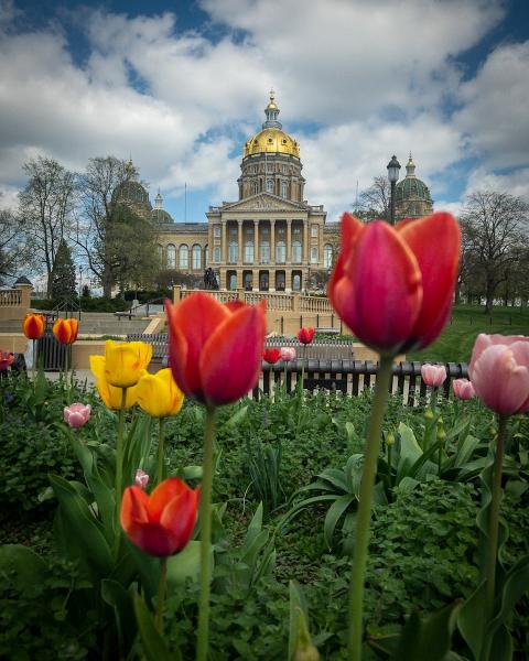 Springtime at the Iowa Capitol picture