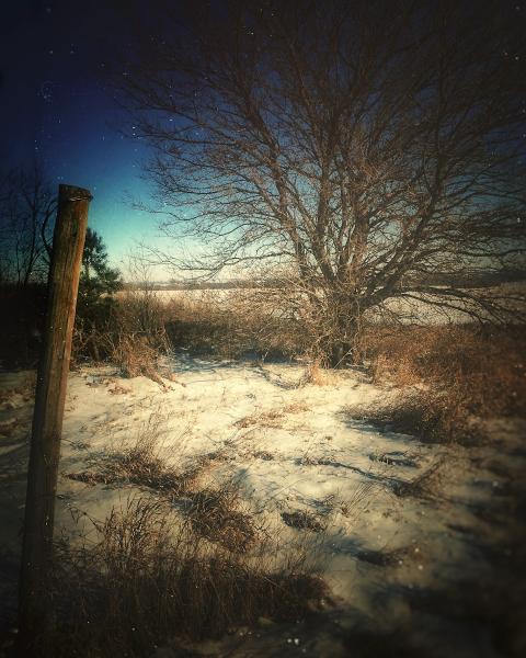 Fencepost in the Snow picture