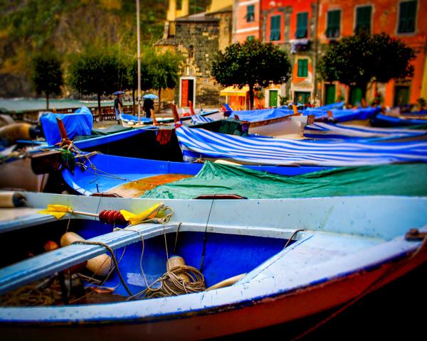 Cinque Terre Boats picture