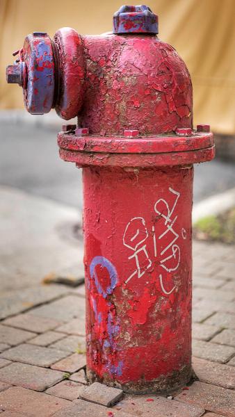 A Colorful Hydrant