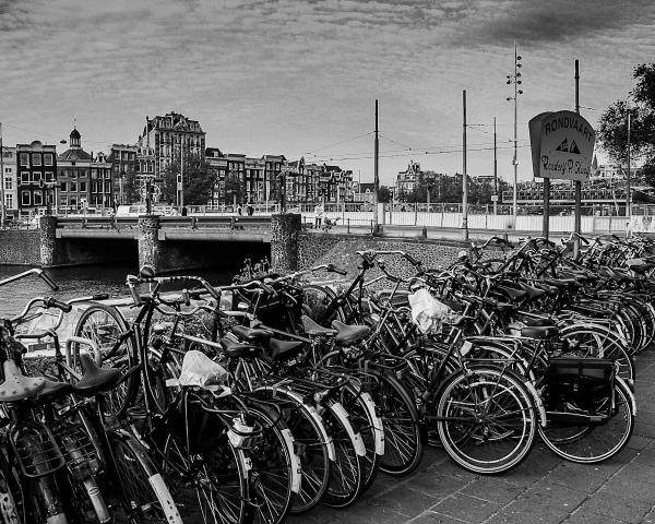 Bikes in Amsterdam BW picture