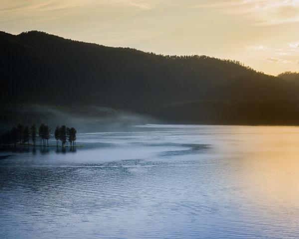 Foggy Lake Sylvan