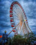 Ferris Wheel at Navy Pier