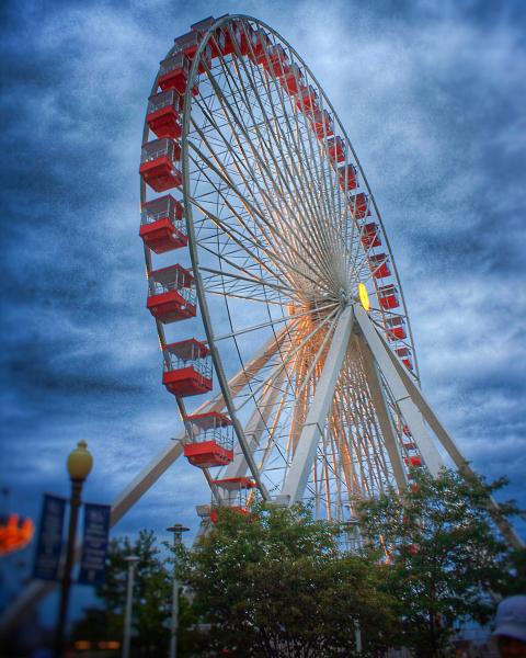 Ferris Wheel at Navy Pier picture