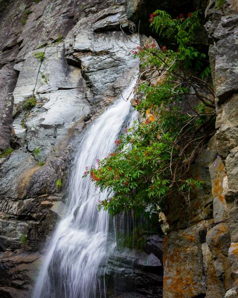 Bridal Veil Falls Colors in Orange picture