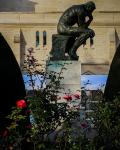 Le Penseur (the thinker) with Roses