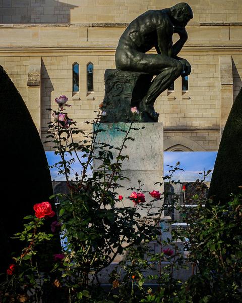 Le Penseur (the thinker) with Roses picture