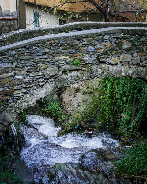 Cinque Terre Bridge picture