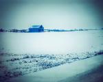 Barn in Winter