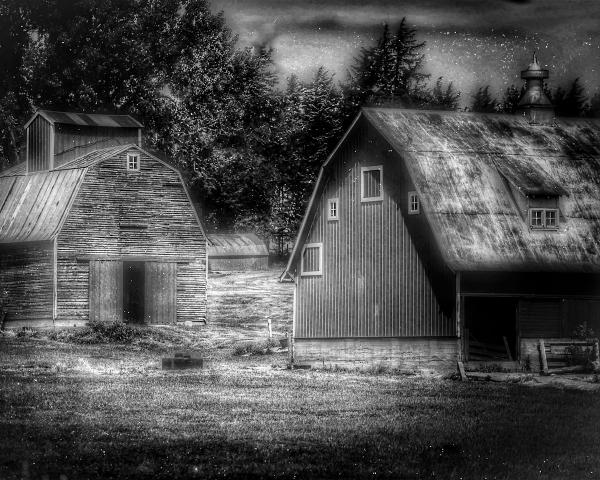 Barns in BW picture