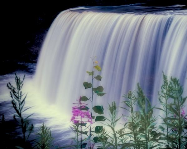 Tahquamenon Falls and Flowers picture