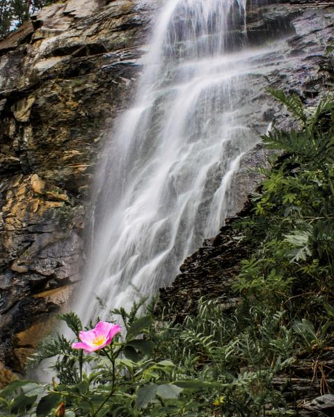 Bridal Veil Falls picture