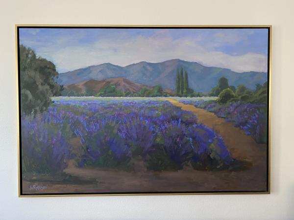 Lavender Field 40x 60 Oil