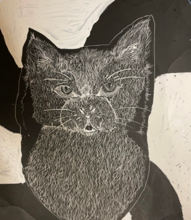 Cape Coral High, Grade 11, PC#67 picture