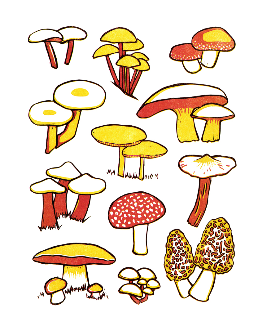 Wild Mushrooms Linocut Print picture