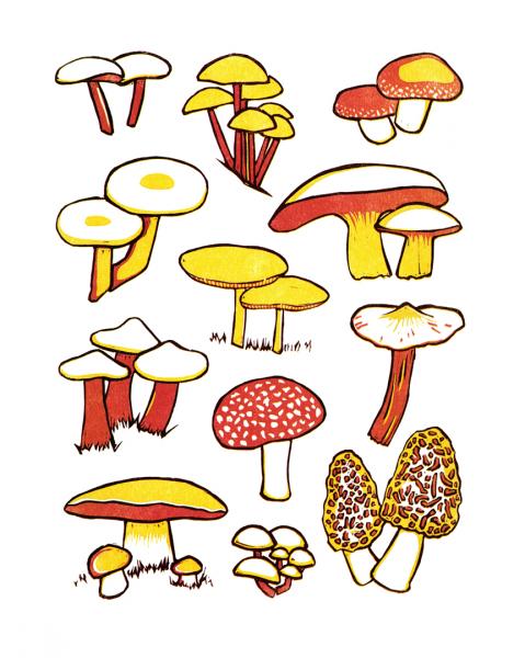 Wild Mushrooms Linocut Print picture