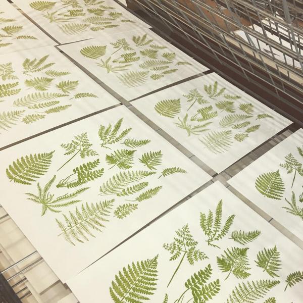 Ferns Linocut Print picture