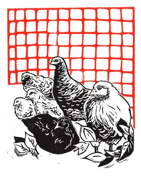 Backyard Chickens Linocut Print picture