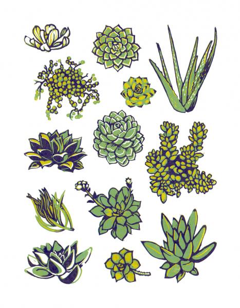 Succulents Linocut Print picture