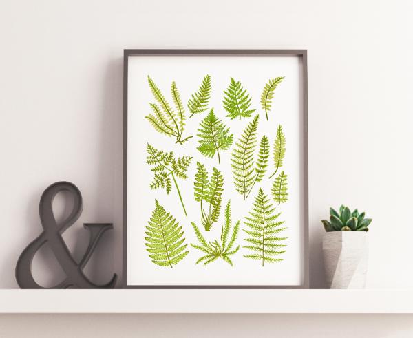 Ferns Linocut Print picture