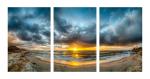 Windansea Panoramic - 30"x60" Metal Triptych