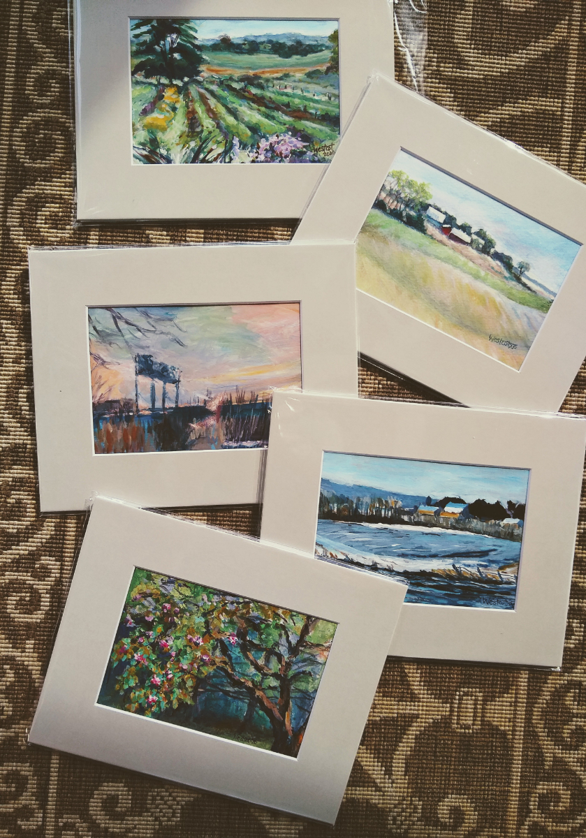 Sue's Garden picture