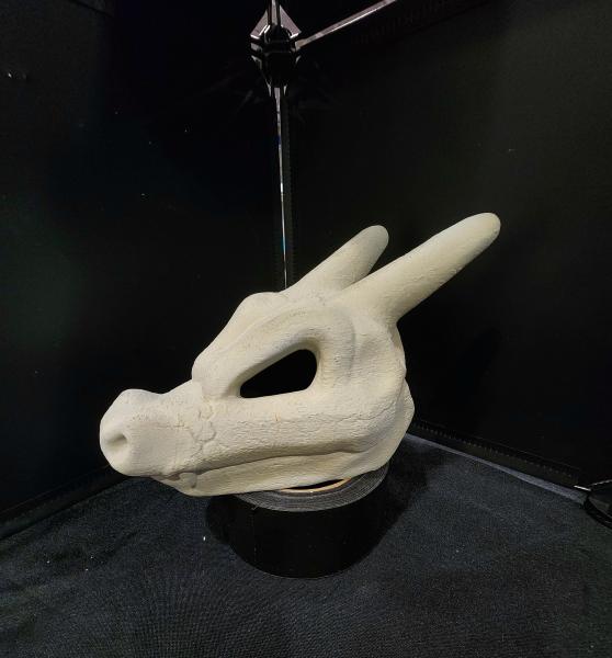 Charizard Skull