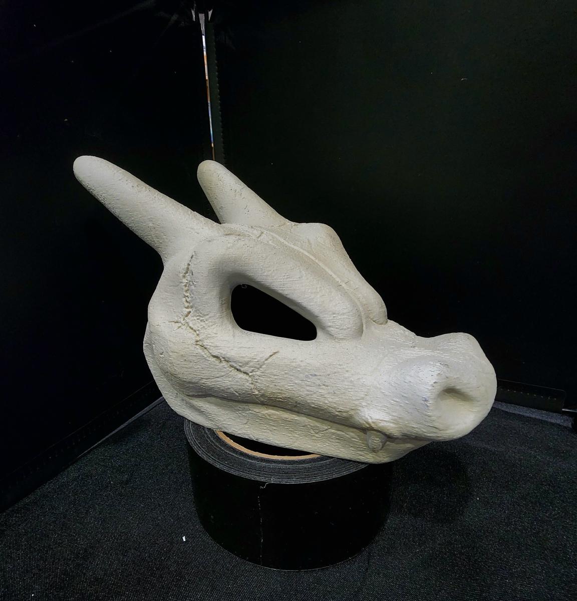 Charizard Skull picture