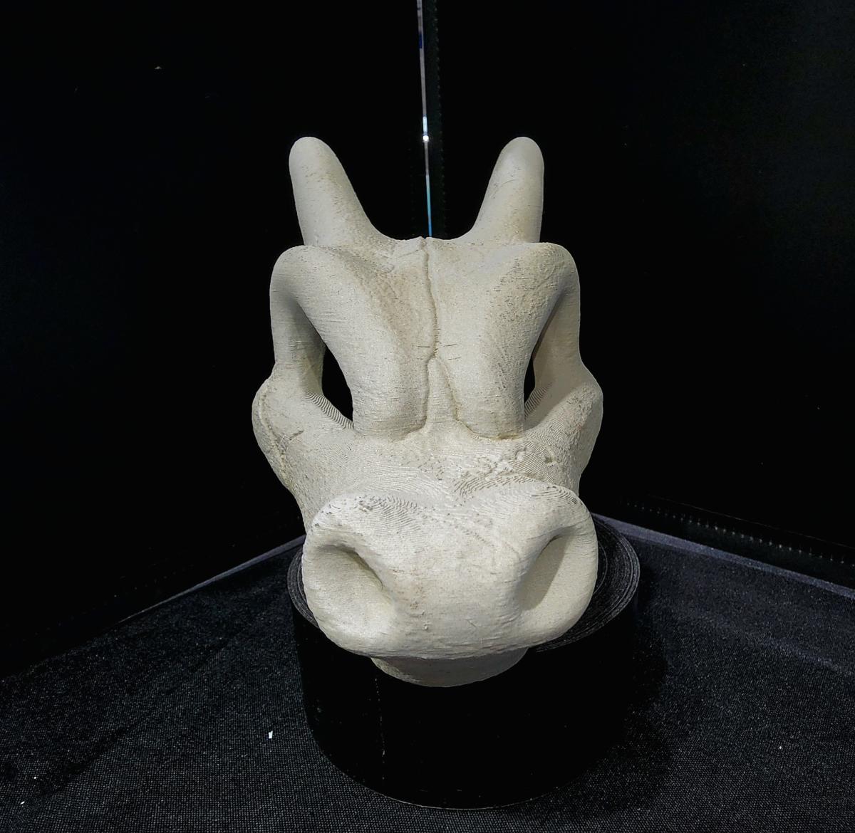 Charizard Skull picture