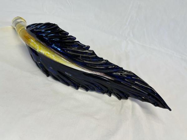 Feather, Multi-color picture