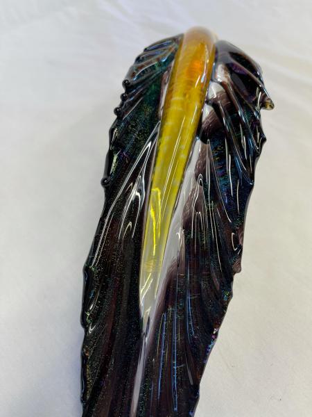 Feather, Multi-color picture