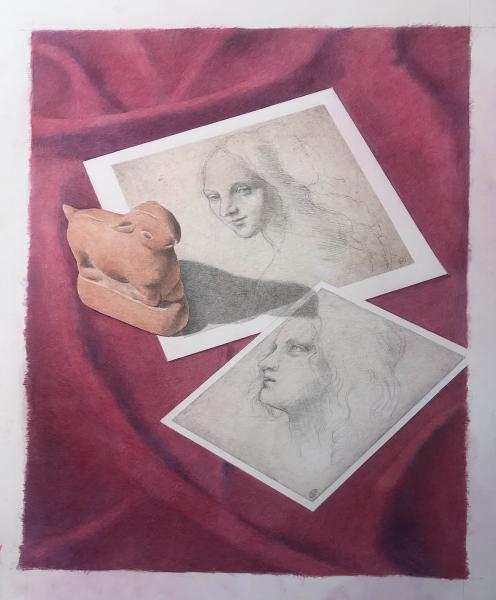 Rabbit with Leonardo
