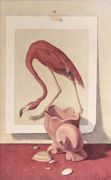 Shell Vase with Audubon