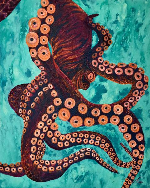 Pulpo picture