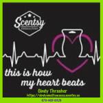 Cindys Melty Waxes (Scentsy)