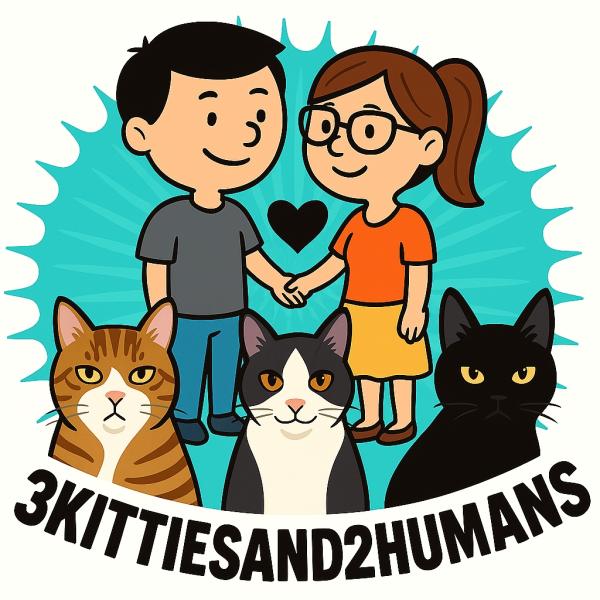 3kittiesand2humans