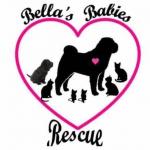 Bella’s Babies Rescue