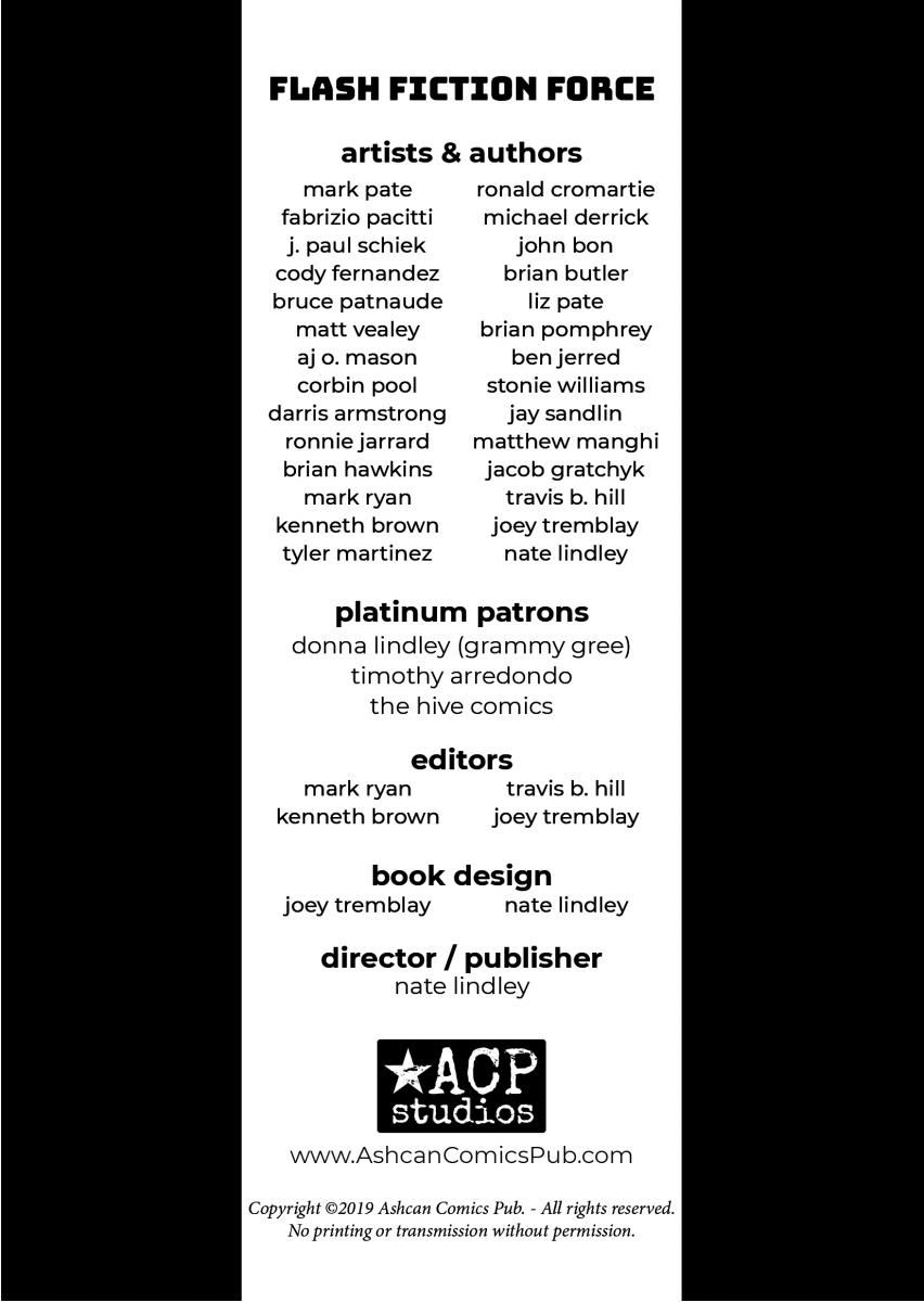 Flash Fiction Force Anthology picture
