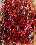 Blood Arteries