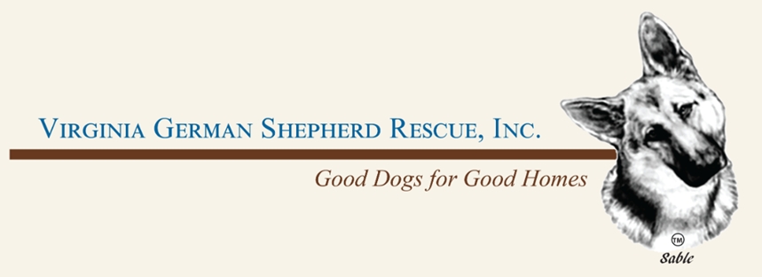 Virginia German Shepherd Rescue (VGSR)