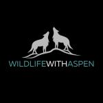Wildlife With Aspen