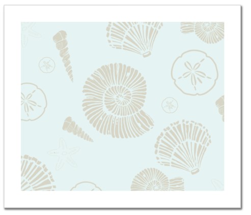 Sanibel Shells Art Print