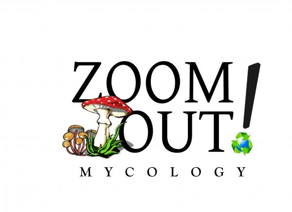Zoom Out Mycology