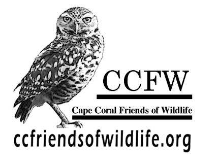 Cape Coral Friends of Wildlife (CCFW)