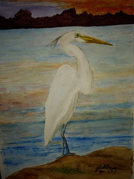 White Egret at Sunset
