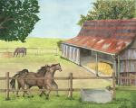 Old Horse Barn, Door Cty, WI