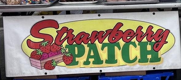 Strawberry Patch